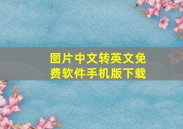 图片中文转英文免费软件手机版下载