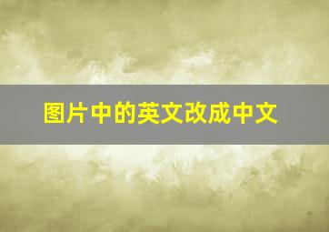 图片中的英文改成中文