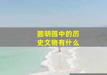 圆明园中的历史文物有什么