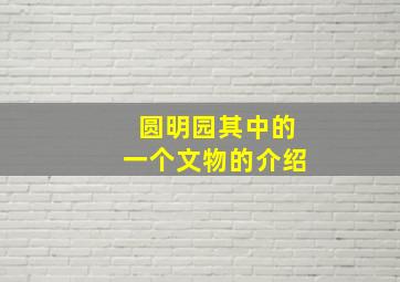 圆明园其中的一个文物的介绍