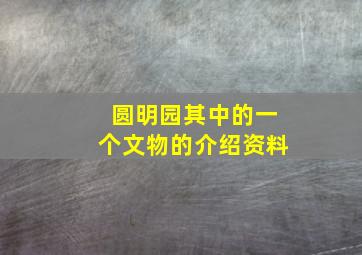 圆明园其中的一个文物的介绍资料