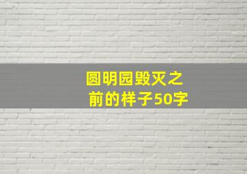 圆明园毁灭之前的样子50字