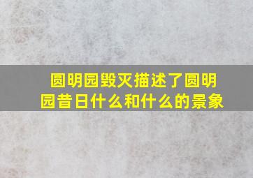 圆明园毁灭描述了圆明园昔日什么和什么的景象