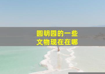 圆明园的一些文物现在在哪