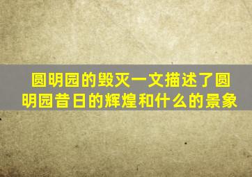 圆明园的毁灭一文描述了圆明园昔日的辉煌和什么的景象