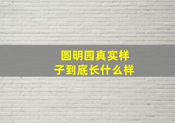 圆明园真实样子到底长什么样