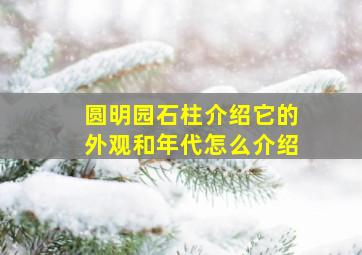 圆明园石柱介绍它的外观和年代怎么介绍