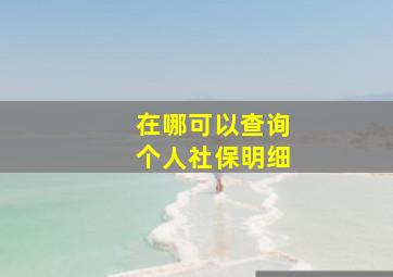 在哪可以查询个人社保明细