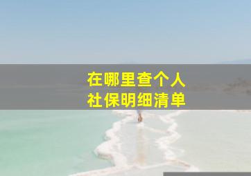 在哪里查个人社保明细清单