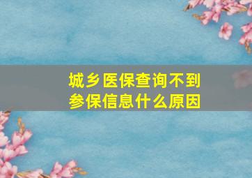 城乡医保查询不到参保信息什么原因