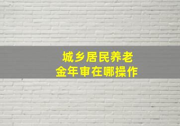 城乡居民养老金年审在哪操作