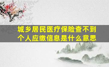 城乡居民医疗保险查不到个人应缴信息是什么意思