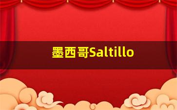 墨西哥Saltillo