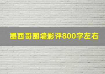 墨西哥围墙影评800字左右