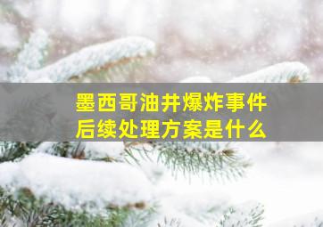 墨西哥油井爆炸事件后续处理方案是什么