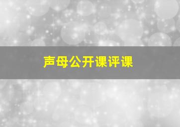 声母公开课评课