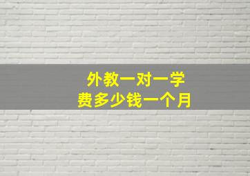 外教一对一学费多少钱一个月