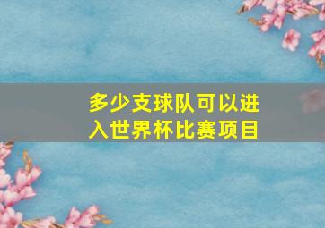 多少支球队可以进入世界杯比赛项目