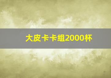 大皮卡卡组2000杯