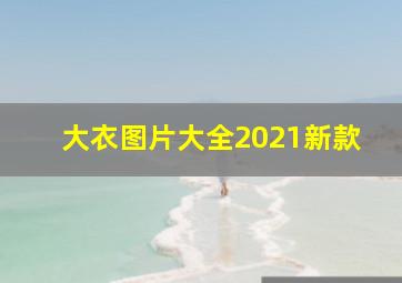 大衣图片大全2021新款