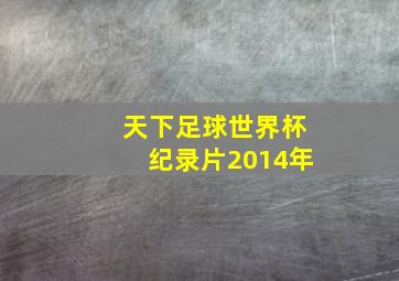 天下足球世界杯纪录片2014年