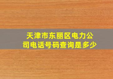 天津市东丽区电力公司电话号码查询是多少