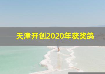 天津开创2020年获奖鸽