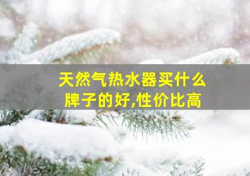 天然气热水器买什么牌子的好,性价比高