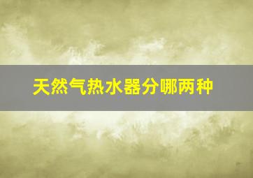 天然气热水器分哪两种