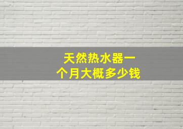 天然热水器一个月大概多少钱