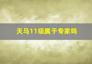 天马11级属于专家吗