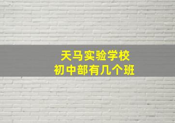 天马实验学校初中部有几个班