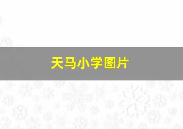 天马小学图片