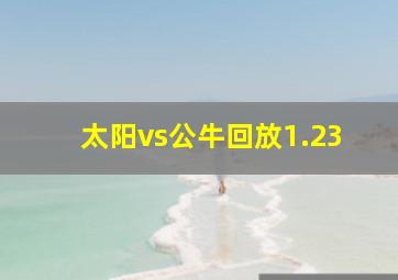 太阳vs公牛回放1.23