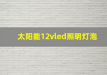 太阳能12vled照明灯泡