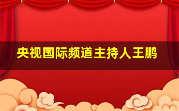 央视国际频道主持人王鹏