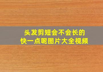 头发剪短会不会长的快一点呢图片大全视频