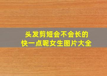 头发剪短会不会长的快一点呢女生图片大全