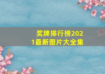 奖牌排行榜2021最新图片大全集