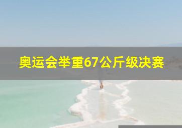 奥运会举重67公斤级决赛