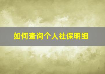 如何查询个人社保明细