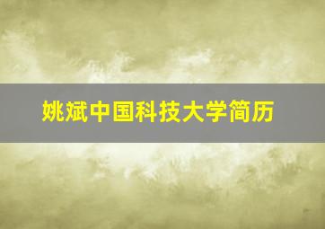 姚斌中国科技大学简历