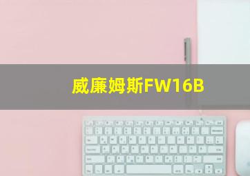 威廉姆斯FW16B