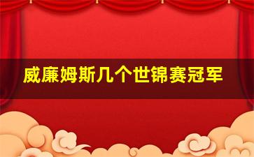 威廉姆斯几个世锦赛冠军