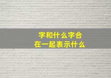 字和什么字合在一起表示什么