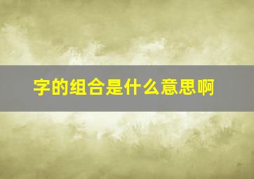 字的组合是什么意思啊