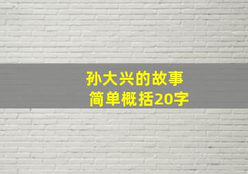 孙大兴的故事简单概括20字