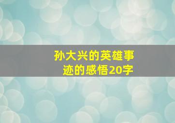 孙大兴的英雄事迹的感悟20字