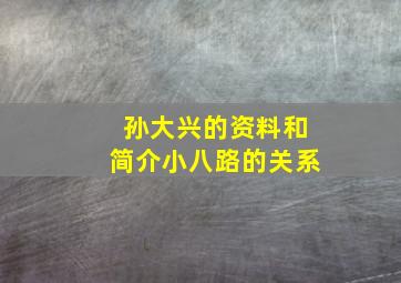 孙大兴的资料和简介小八路的关系