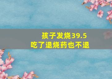 孩子发烧39.5吃了退烧药也不退